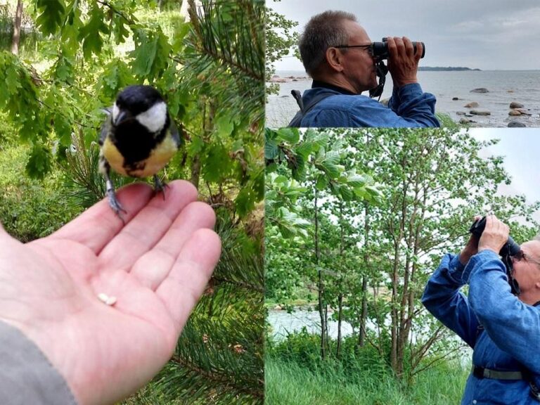 Kuvakollaasi miehestä kiikareiden kanssa.