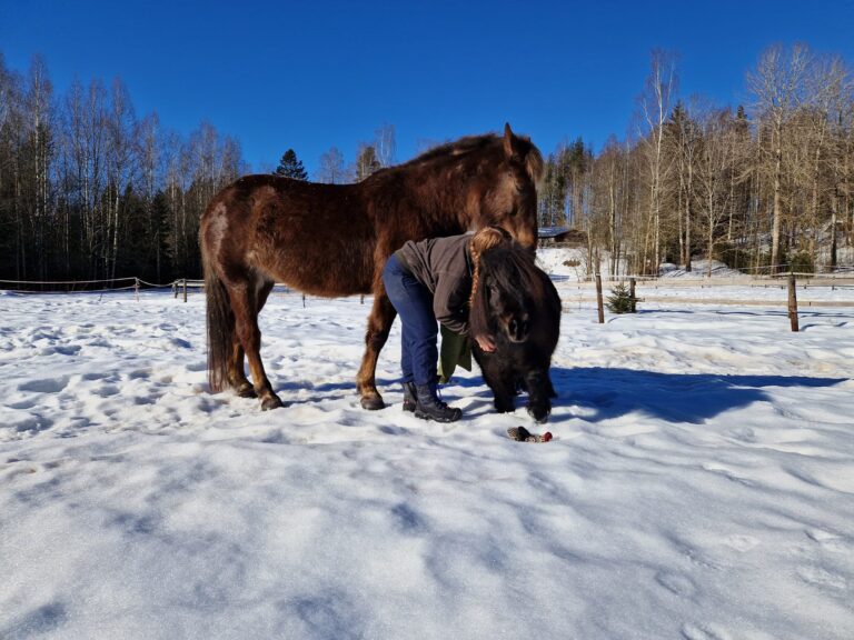 Nainen hevosen ja ponin kanssa talvimaisemassa.